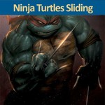 Ninja Turtles Sliding
