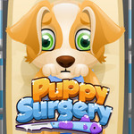 Puppy Surgery