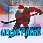 Winter Sports Hockey Hero