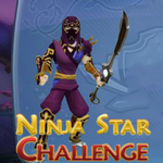 Ninja Star Challenge