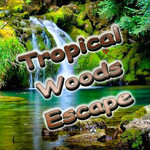 Tropical Woods Escape