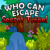 Who Can Escape Secret Tunnel