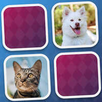 Memory Challenge,Memory Challenge is one of the Memory Games that you can play on UGameZone.com for free. 
Play the best free online Memory games. Can you've got memory? Let us see now how much you can really go. Test and train your memory skills with our selection of great memory games. You've got to find the same pictures. Tap about the image to show it.